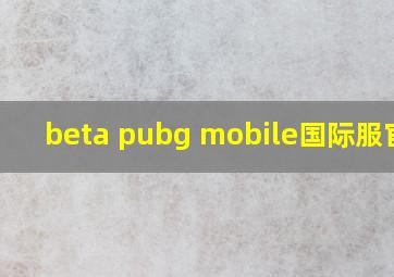 beta pubg mobile国际服官网